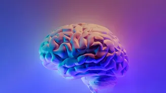 How Ipsos's 2026 India AI Survey Changes The Case For High Public Understanding Of AI