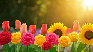 9 Simple Steps to Boost Happiness & Reduce Stress