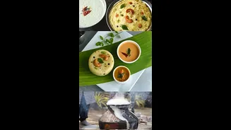Pongal 2026: Must-Have Dishes On This Auspicious Four-Day Harvest Festival