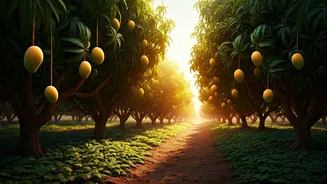 Inside The Lush Mango Orchards Transforming Modern Lucknow Tourism