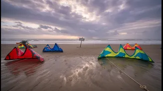 Tamil Nadu's International Kite Festival Needs Better Questions About Beach Access, Weather And Festival Timings