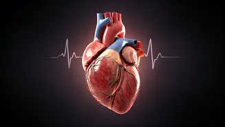 Signs of a Healthy Body Clock: Explained!