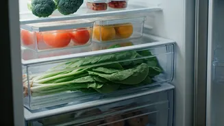 Refrigerator Wisdom: Expert Tips for Fresher Food and Less Waste