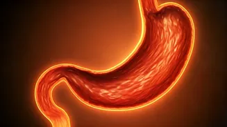 Unraveling Stomach Growls: Causes and Solutions