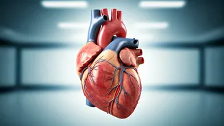 Heart Health: The Simple Push-Up Test