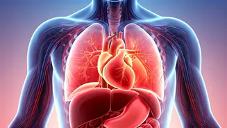 Mapping Feelings: How Emotions Show in Your Body