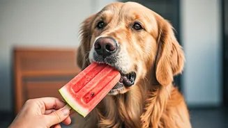 Two-Ingredient Watermelon Pops Keep Hyper Dogs Completely Relaxed Today