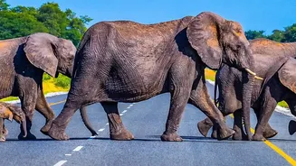 Roads and nature fuel India's travel shift