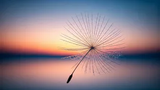 5 AM Affirmations: Unlock Your Mind's Potential for a Balanced Day