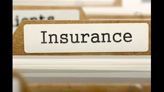 Economic Survey Flags Tougher Insurance Enforcement, Penalty Cap Raised 10x To Rs 10 Crore