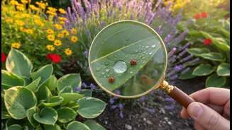 Natural Pest Control Needs Early Action First