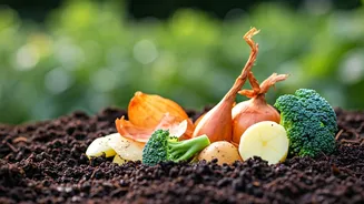 Vegetable Scraps Are Your Garden’s Future Food