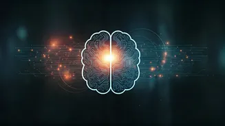 Struggling With Reading? This Smart AI Adjusts Quiz Hardness