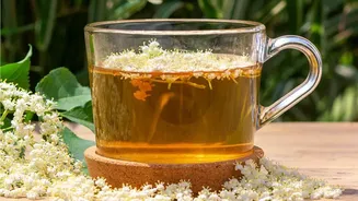 Everyday Herbal Brews That Rehydrate Your System While Keeping Calorie Counts Low
