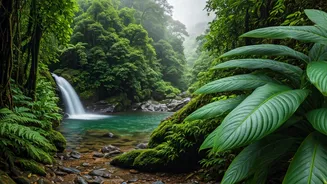 Score Huge Monsoon Savings On Breathtaking South Indian Nature Escapes