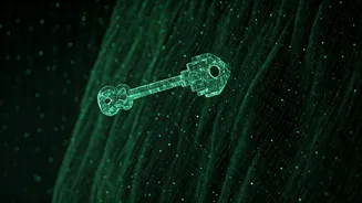 Navigating the Digital Gauntlet: Understanding Website Security Checks