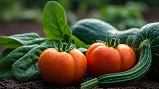 Rainy Season Is Perfect For Growing These Veggies