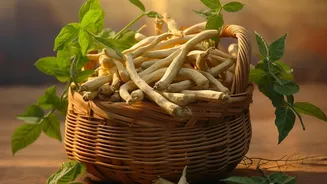 Nutrition Experts Recommend These Vrat Staples For Sawan Fasting