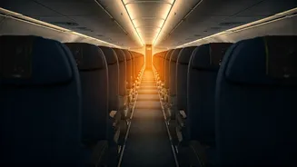 60% Free Seating on Flights: Airlines Mandated to Offer Accessible Seats from April 20