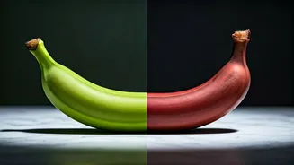 Green vs. Red Bananas: A Culinary Exploration of Flavor and Texture