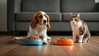 Lower Activity Means Pet Meals Need Rethinking
