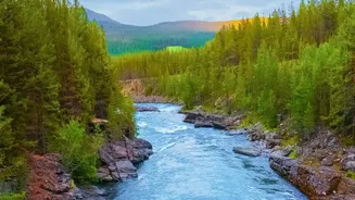 What To Do If You Are Caught Near A River During A Flash Flood