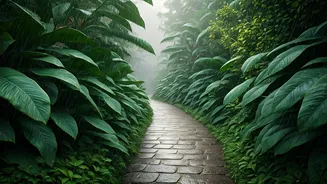 Mawlynnong Gives Monsoon Travel A Peaceful Twist