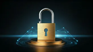 Unlock Perks: Your Credit Score's Hidden Power in India