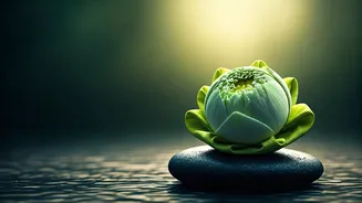 Tara Brach's Wisdom: Embrace Your Uniqueness for Inner Healing and Freedom