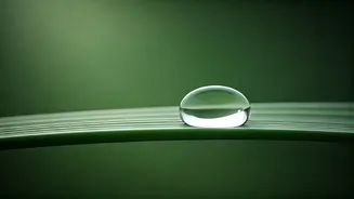 Skin's Best Friend or Foe? 5 Moisturizing Myths Unveiled for Radiant Skin