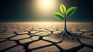 5 Japanese Wisdom Nuggets: Guiding Kids Through Tough Times