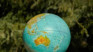What Satellite Signals Reveal About Plant Growth