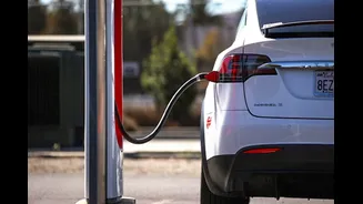 Delhi Govt Plans To Bring Back EV Subsidies To Curb Rising Pollution