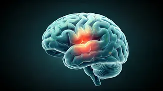 Decoding the Brain: ADHD, Anxiety, and Sleep