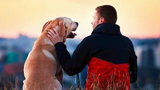 The Monsoon Pet Routine Is About Keeping Dogs Clean, Dry And Checked For Ticks