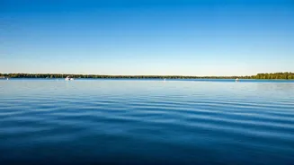 India's IPO Market: Navigating Calm Waters