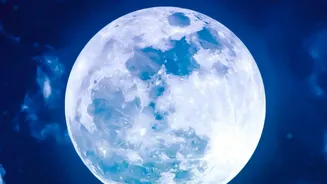 Could Today's Moon Impact Improve Models Of Lunar Surface Evolution?