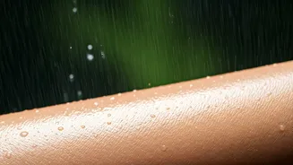 Humidity-Proof Base Tips You Need This Monsoon