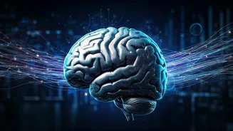 Related Stories banner