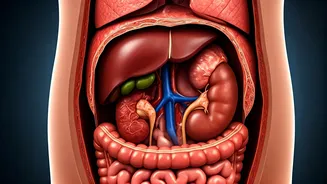 Water Fasting: Impact on Your Body After 3 Days