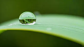 The Power of Small: Swami Sivananda's Wisdom on Life's Tiny Details