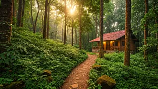 Tanhau Homestay: A Secluded Sanctuary in Corbett's Wild Heart