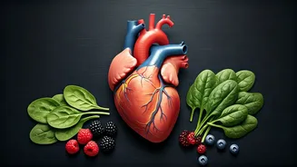 Know Your Heart: Health Tips and Warning Signs