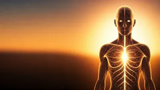 Beat the 4 PM Slump: Understanding Your Metabolism and Reclaiming Energy