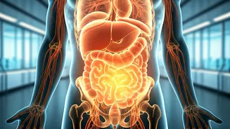 Reversing Insulin Resistance: Unveiling Your Body's Subtle Signs of Improvement