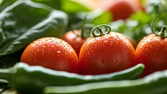 Simple Vegetables For Every Home Garden
