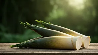 Unveiling the Wonders of African Giant Bamboo Shoots: A Nutritional Powerhouse