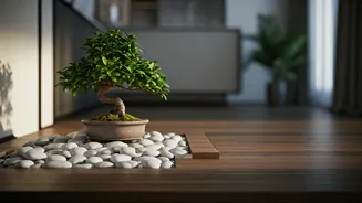 Why Small Apartments Need Indoor Zen Corners With River Pebbles