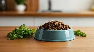 Clean Pet Food Is The New Family Upgrade