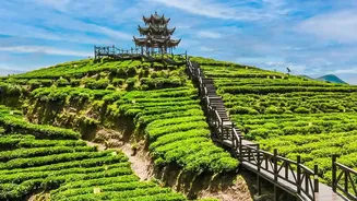 Offbeat Chikmagalur Retreats: Scenic Plantation Stays For Rainy Weekend Getaways